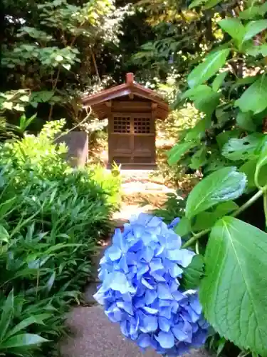 渋谷氷川神社(東京都)