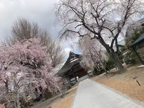 蓮華寺(宮城県)