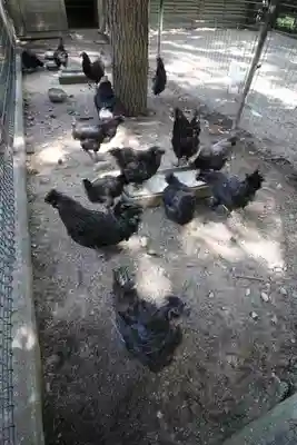 身曾岐神社(山梨県)