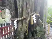 貴船神社結社の自然