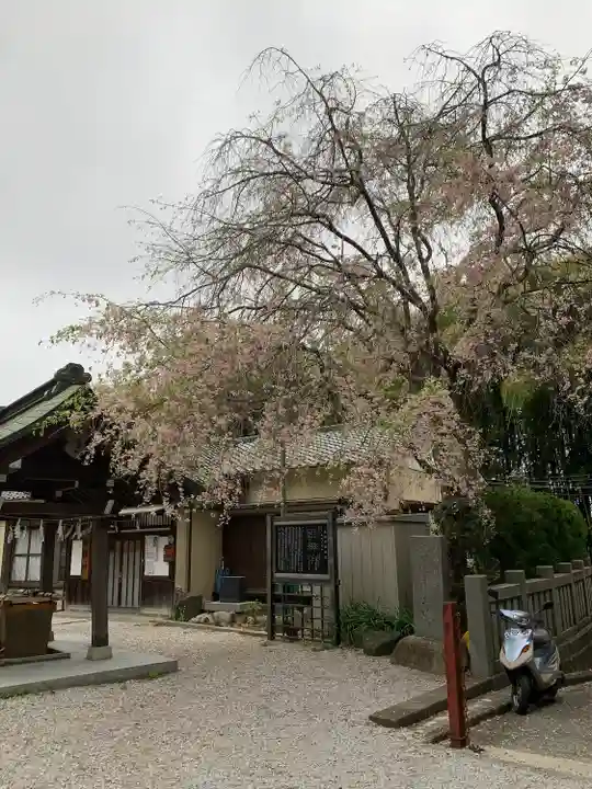 諏訪神社のその他建物