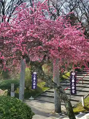 三春大神宮(福島県)
