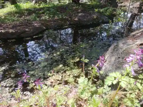 帯廣神社の自然