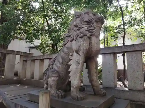 渋谷氷川神社の狛犬