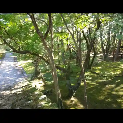 竹林寺の庭園