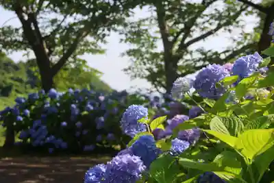 陽林寺(福島県)
