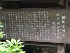 大和神社(奈良県)