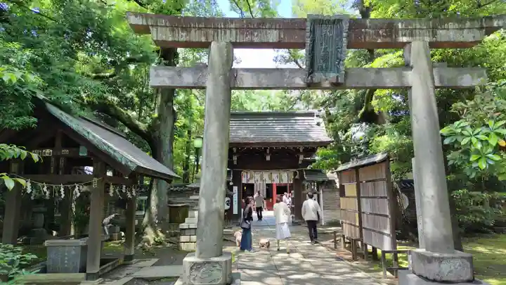 赤坂氷川神社(東京都)