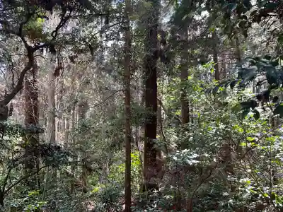 日吉神社(千葉県)