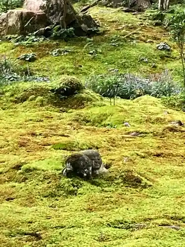 三千院門跡(京都府)