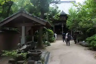 浄瑠璃寺(愛媛県)
