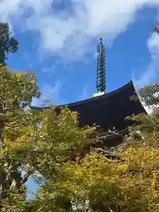 境内のもみじは色づきが進み、緑から紅へのグラデーションを楽しめます。
紅葉の状況はウェザーニュースでも確認できすます。
https://weathernews.jp/koyo/spot/14803/?fm=search
11月8日 もみじまつり
11月9日 坐禅会
にもぜひご参加ください!