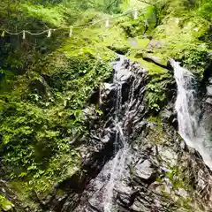 大本山七宝瀧寺の自然