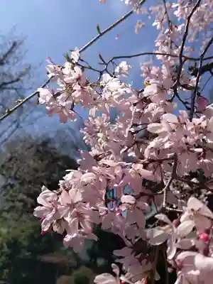 大國魂神社の{uncategorized: "未分類", other: "その他", undefined: "問題あり", building: "その他建物", grave: "お墓", sacred_gate: "鳥居", guardian: "狛犬", statue: "像", buddha: "仏像", history: "歴史", nature: "自然", garden: "庭園", animal: "動物", pagoda: "塔", temizu: "手水舎", mountain_gate: "山門・神門", sanctuary: "本殿・本堂", subordinate: "末社・摂社", art: "芸術", scenery: "景色", jizo: "地蔵", ema: "絵馬", goshuin: "御朱印", omikuji: "おみくじ", items: "授与品その他", amulet: "お守り", goshuincho: "御朱印帳", eats: "食事", festival: "お祭り", votive_dance: "神楽", shichigosan: "七五三参", wedding: "結婚式", experience: "体験その他", initially: "初詣", around: "周辺", anti_infection: "感染症対策"}