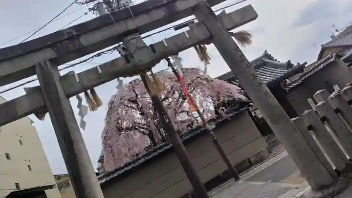大将軍八神社(京都府)