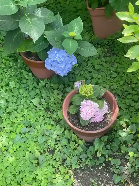 萬年寺(万年寺)(京都府)
