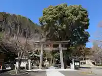 高麗神社の{uncategorized: "未分類", other: "その他", undefined: "問題あり", building: "その他建物", grave: "お墓", sacred_gate: "鳥居", guardian: "狛犬", statue: "像", buddha: "仏像", history: "歴史", nature: "自然", garden: "庭園", animal: "動物", pagoda: "塔", temizu: "手水舎", mountain_gate: "山門・神門", sanctuary: "本殿・本堂", subordinate: "末社・摂社", art: "芸術", scenery: "景色", jizo: "地蔵", ema: "絵馬", goshuin: "御朱印", omikuji: "おみくじ", items: "授与品その他", amulet: "お守り", goshuincho: "御朱印帳", eats: "食事", festival: "お祭り", votive_dance: "神楽", shichigosan: "七五三参", wedding: "結婚式", experience: "体験その他", initially: "初詣", around: "周辺", anti_infection: "感染症対策"}