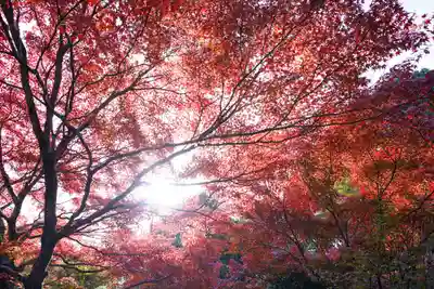 両足寺(山口県)