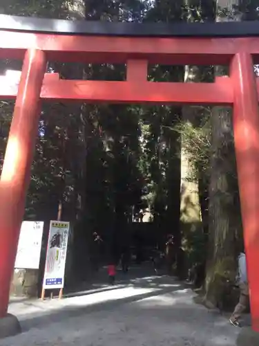 箱根神社の鳥居