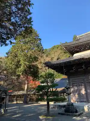 佛通寺の本殿・本堂