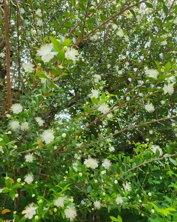 東光院(大阪府)