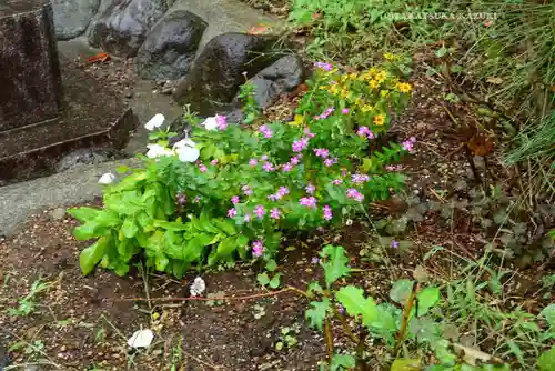 横浜御嶽神社(神奈川県)