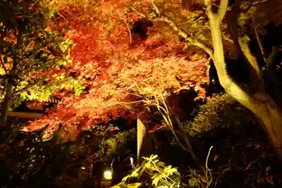 長谷寺(神奈川県)