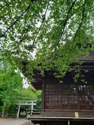 熊野神社(東京都)
