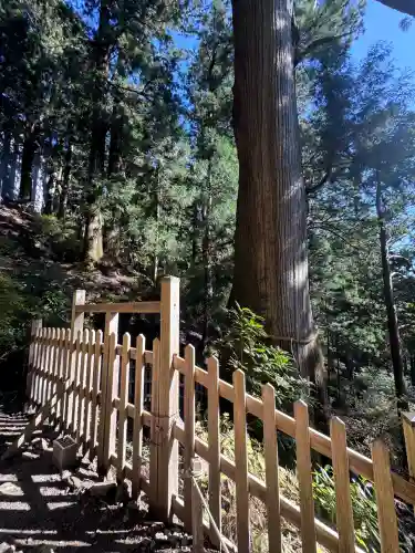 玉置神社(奈良県)