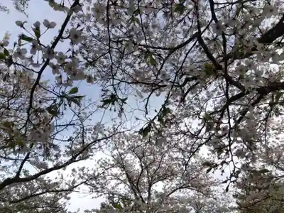 塩土恵美須神社(福井県)