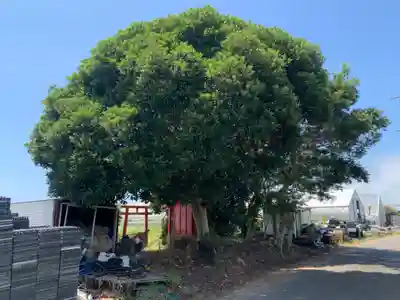 稲荷神社(千葉県)