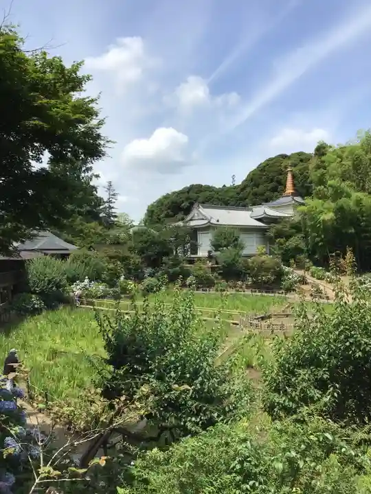 本土寺の周辺