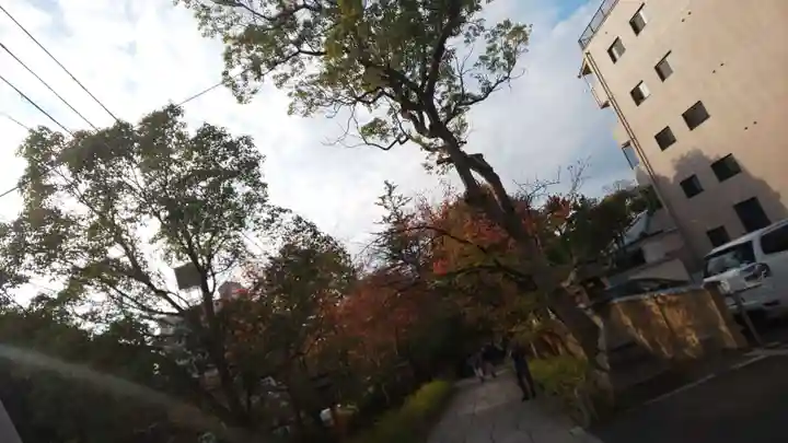 安井金比羅宮(京都府)