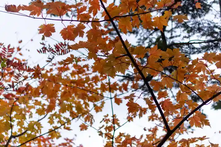 大瀧神社(長野県)