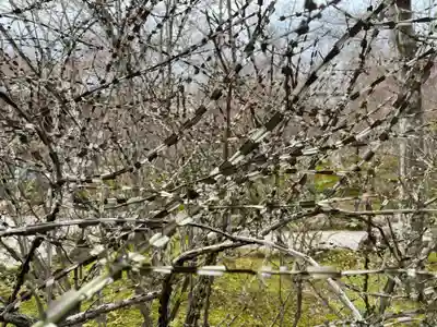 宝筐院(京都府)