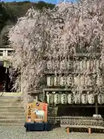 大石神社の{uncategorized: "未分類", other: "その他", undefined: "問題あり", building: "その他建物", grave: "お墓", sacred_gate: "鳥居", guardian: "狛犬", statue: "像", buddha: "仏像", history: "歴史", nature: "自然", garden: "庭園", animal: "動物", pagoda: "塔", temizu: "手水舎", mountain_gate: "山門・神門", sanctuary: "本殿・本堂", subordinate: "末社・摂社", art: "芸術", scenery: "景色", jizo: "地蔵", ema: "絵馬", goshuin: "御朱印", omikuji: "おみくじ", items: "授与品その他", amulet: "お守り", goshuincho: "御朱印帳", eats: "食事", festival: "お祭り", votive_dance: "神楽", shichigosan: "七五三参", wedding: "結婚式", experience: "体験その他", initially: "初詣", around: "周辺", anti_infection: "感染症対策"}
