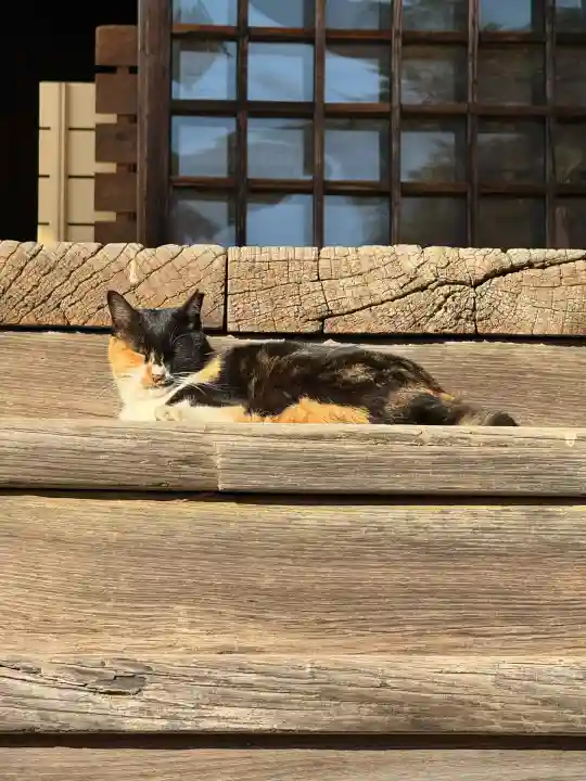 甲斐善光寺(山梨県)