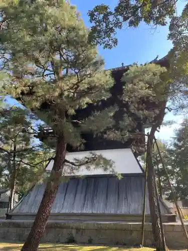 大徳寺(京都府)