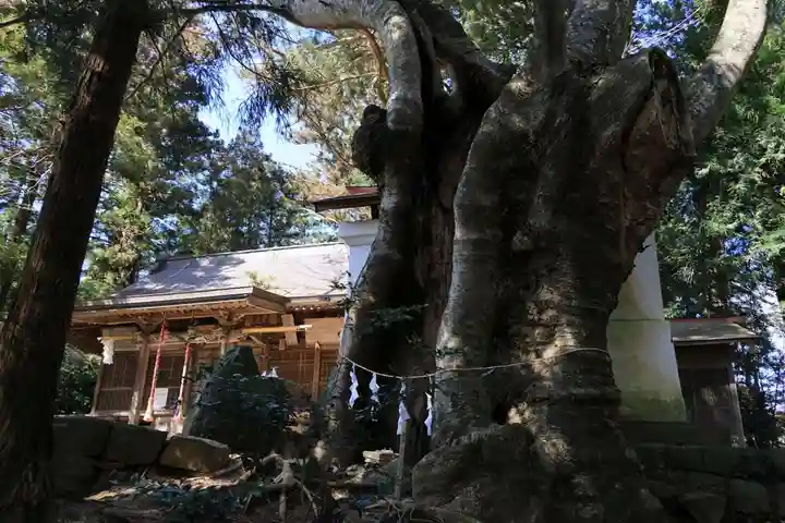黒沼神社(福島県)