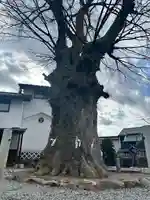 諏訪大社下社秋宮(長野県)