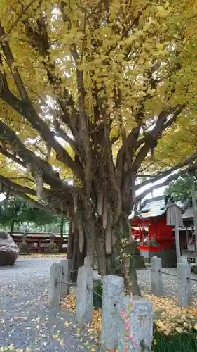 秩父神社のその他建物