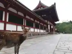 東大寺の建物その他