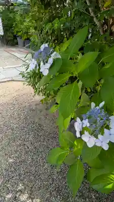 白山神社(大阪府)