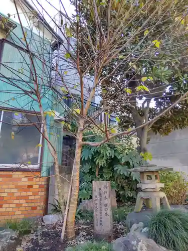 諏訪神社の庭園