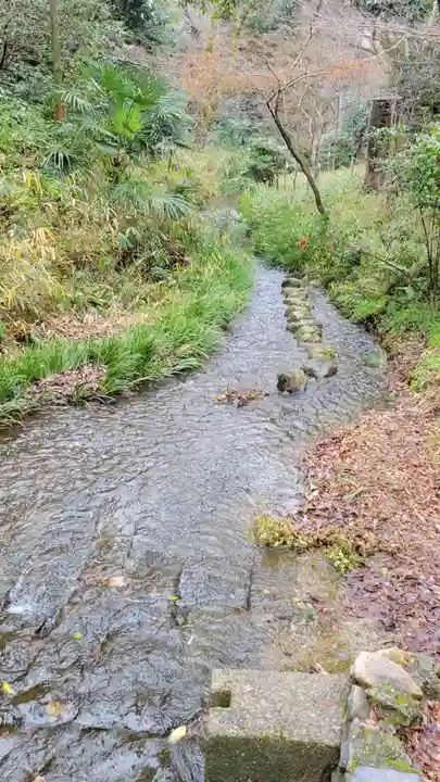 賀茂御祖神社(下鴨神社)の周辺