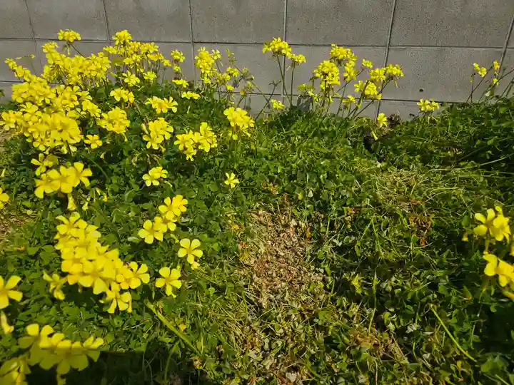 聞蔵寺(大阪府)