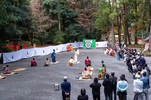 宇佐神宮(大分県)