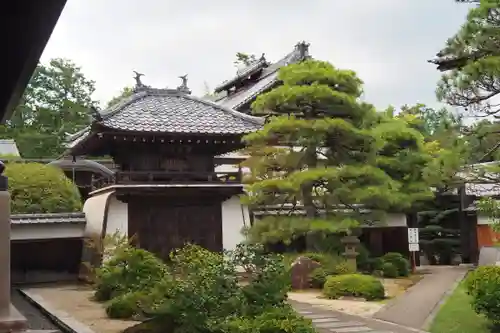 智恩寺(京都府)