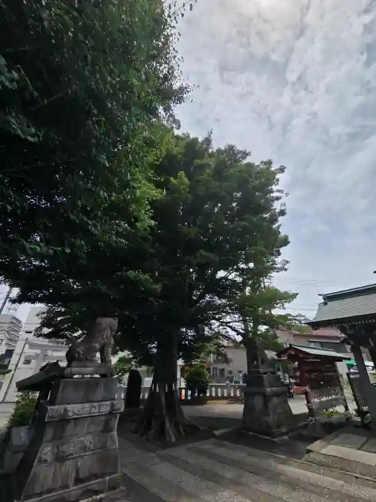 滝野川八幡神社(東京都)
