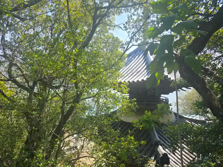 海禅院(和歌山県)